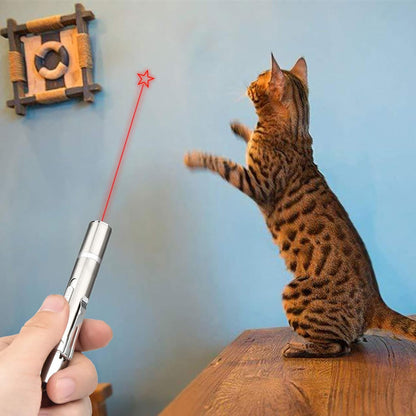 Tease Cat Pen Flashlight Toy Laser LED Pen Light